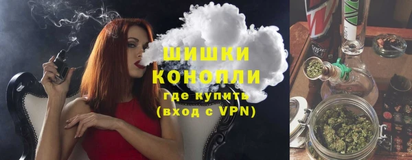 ПСИЛОЦИБИНОВЫЕ ГРИБЫ Абаза