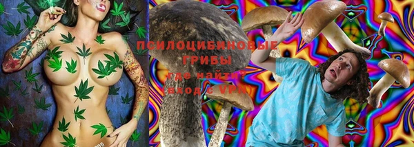 прущая мука Алексин