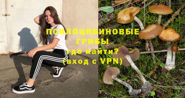 герыч Алзамай